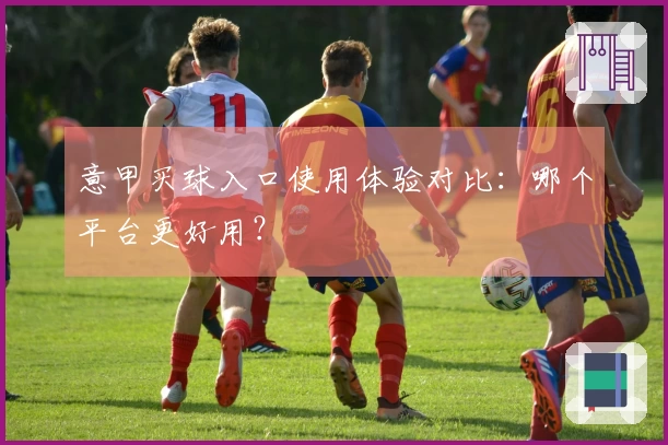 意甲买球入口使用体验对比：哪个平台更好用？